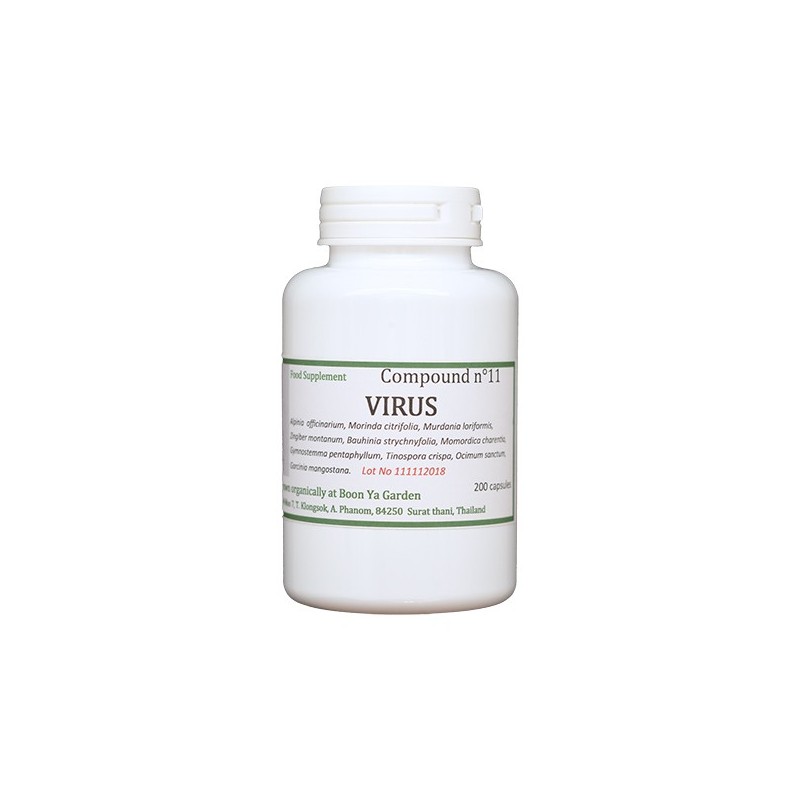 Virus Virus