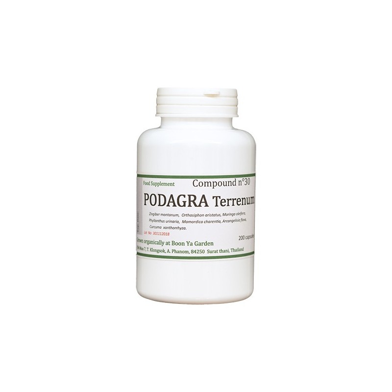 PODAGRA TERRENUM PODAGRA TERRENUM