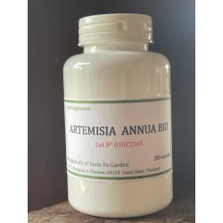 ARTEMISIA ANNUA BIO